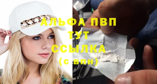 PSILOCYBIN Павловск