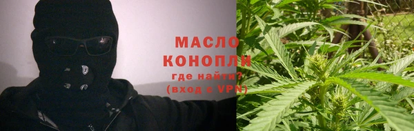индика Медногорск