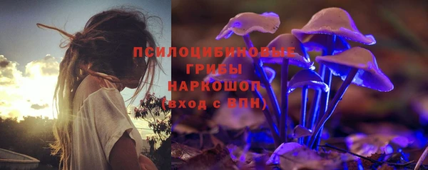 молекула духа Уссурийск