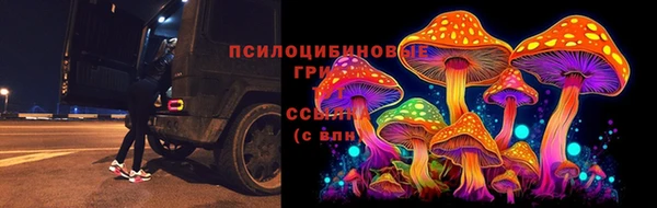 бошки Медвежьегорск