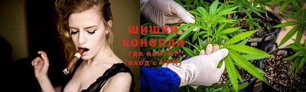 индика Медногорск