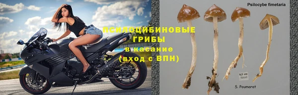 индика Медногорск