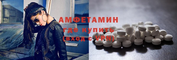 индика Медногорск