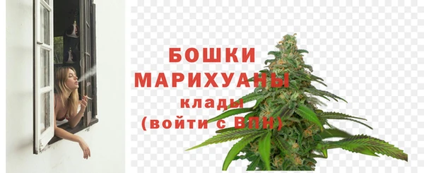 молекула духа Мегион