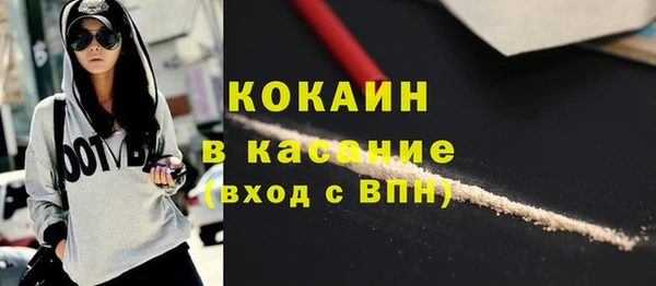 молекула духа Мегион
