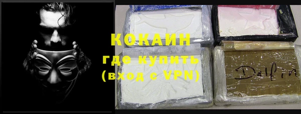 индика Медногорск