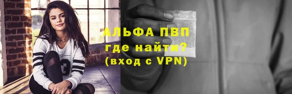 индика Медногорск
