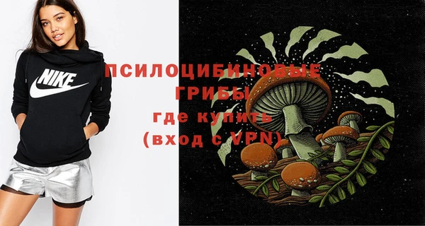 бошки Медвежьегорск