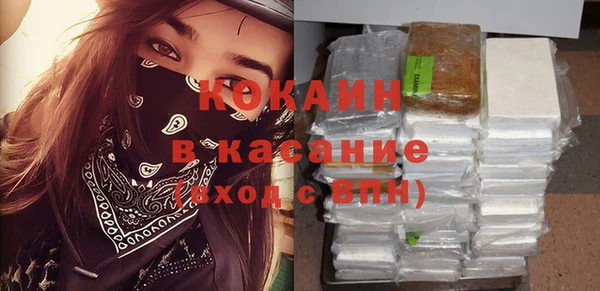 индика Медногорск