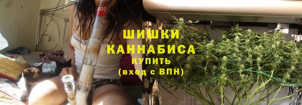 молекула духа Мегион