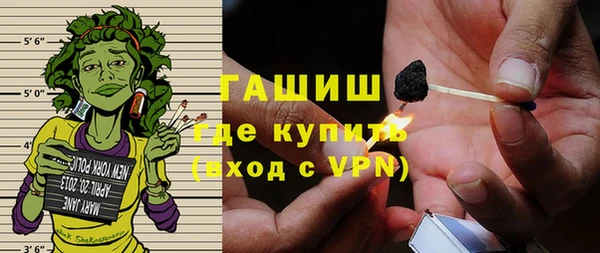 индика Медногорск