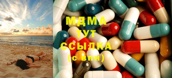 индика Медногорск