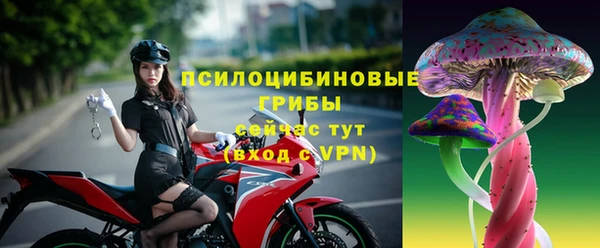 бошки Медвежьегорск