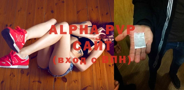 индика Медногорск